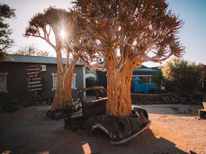 Canyon Roadhouse, Gondwana Collection Namibia, Tree, Plant, Nature, Wood