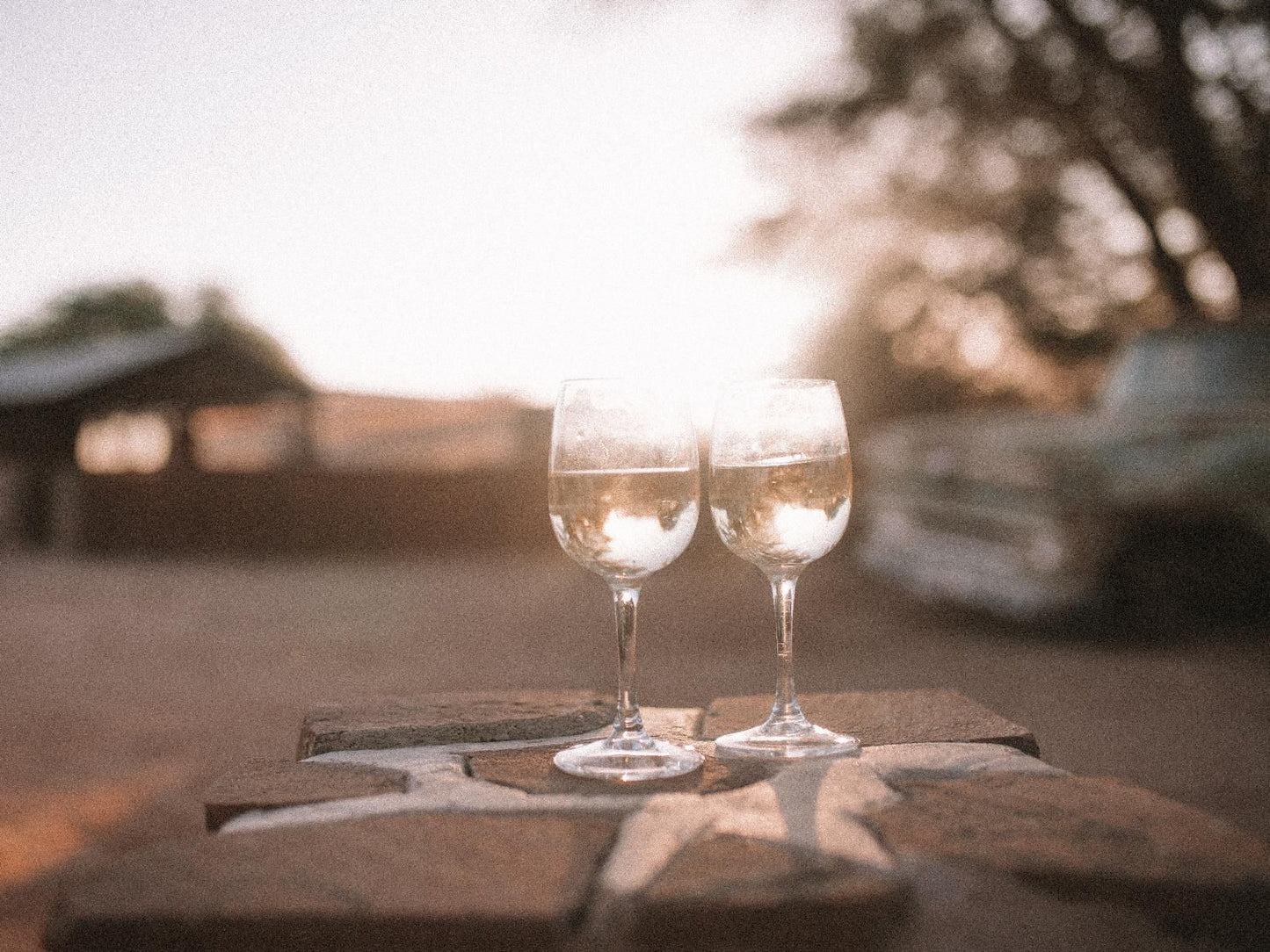 Canyon Roadhouse, Gondwana Collection Namibia, Drink, Glass, Drinking Accessoire, Wine, Food