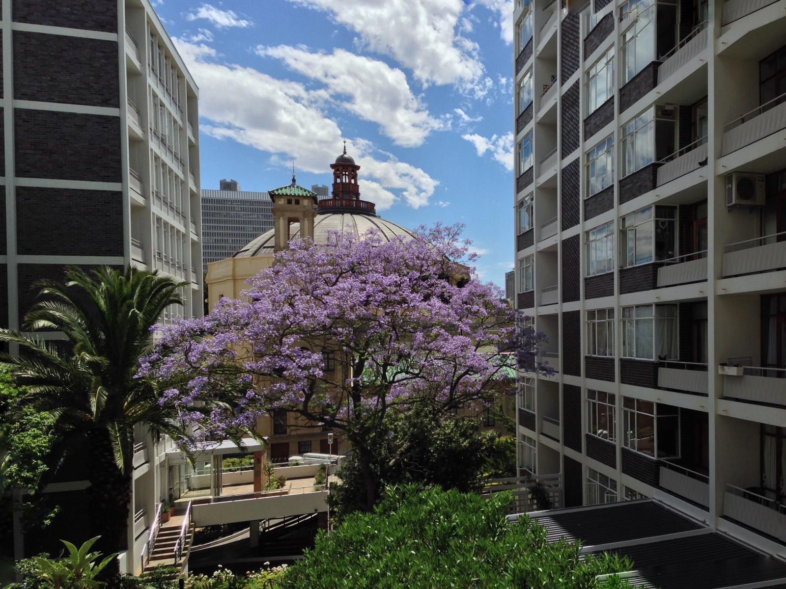 Cape Breaks Accommodation Cape Town Western Cape South Africa Blossom, Plant, Nature, Skyscraper, Building, Architecture, City, Window