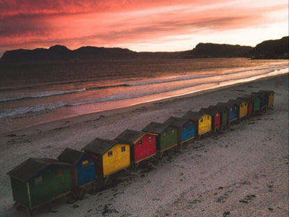 Cape Capsules Backpackers And Pizzeria Muizenberg Cape Town Western Cape South Africa Train, Vehicle, Beach, Nature, Sand