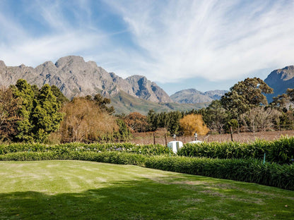 Cape Dutch Keerweder Franschhoek Western Cape South Africa Complementary Colors, Garden, Nature, Plant