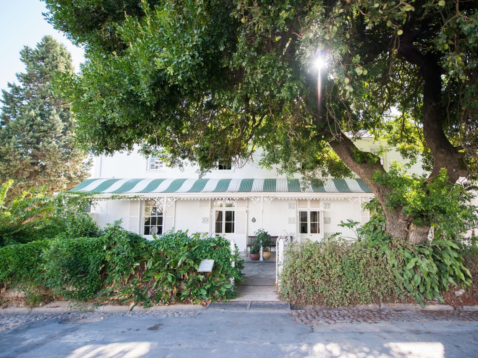 Cape Dutch Quarters - Tulbagh, House, Building, Architecture, Palm Tree, Plant, Nature, Wood