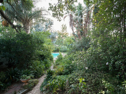 Cape Dutch Quarters - Tulbagh, Palm Tree, Plant, Nature, Wood, River, Waters, Garden