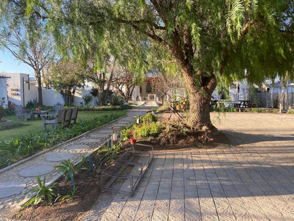 Cape Karoo Guesthouse Beaufort West Western Cape South Africa Palm Tree, Plant, Nature, Wood, Garden