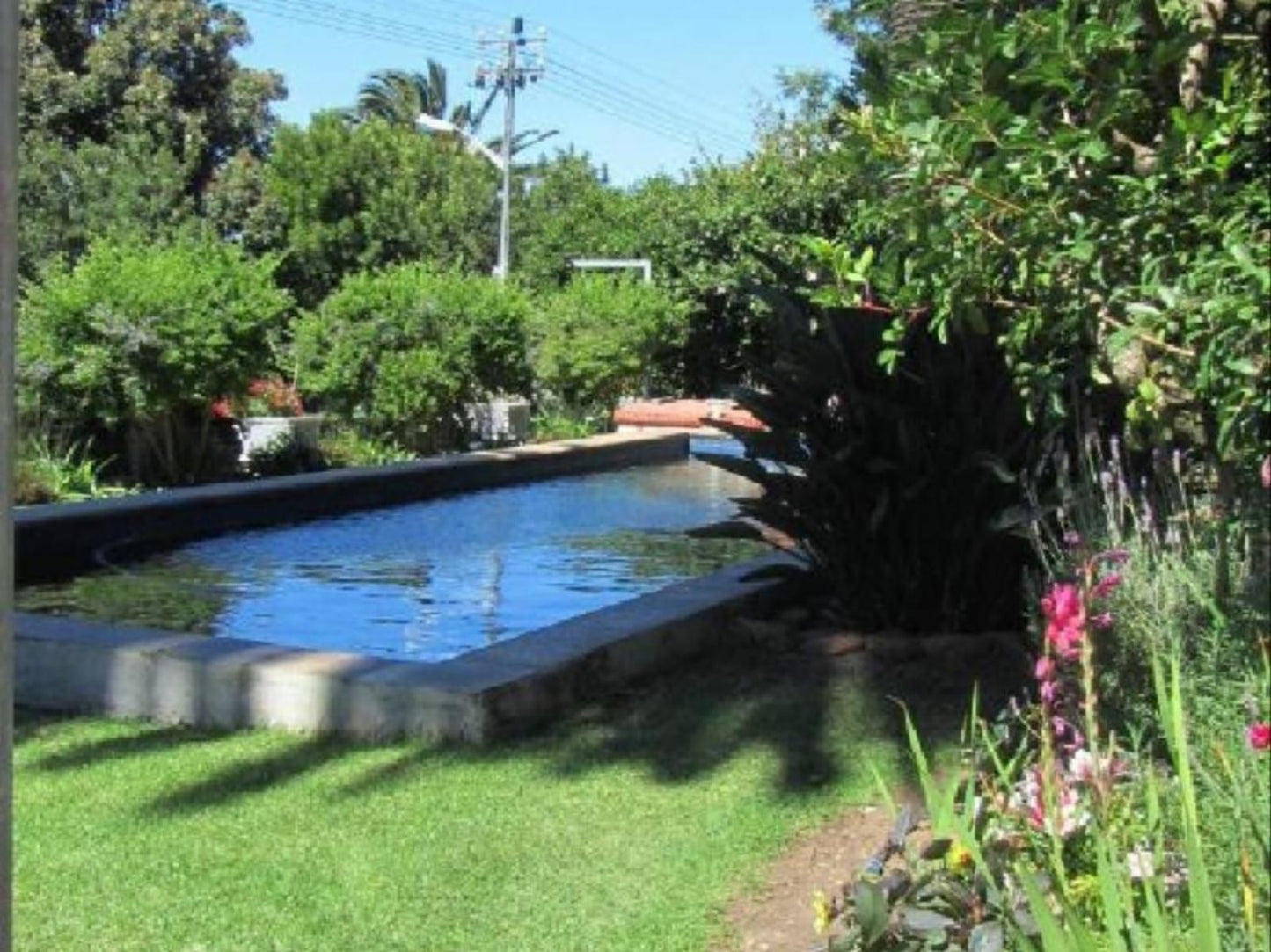 Cape Riviera Guesthouse, Plant, Nature, Garden, Swimming Pool