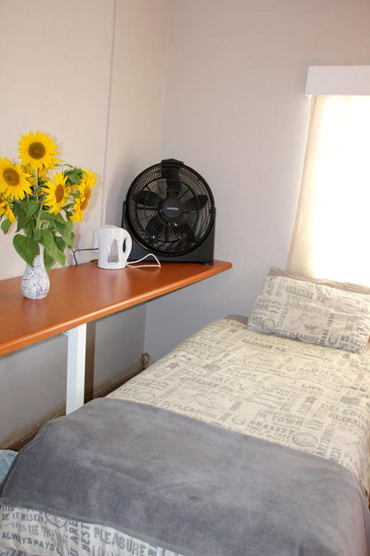 Cape Robin Self Catering Guesthouse Greytown Kwazulu Natal South Africa Sunflower, Flower, Plant, Nature, Bedroom