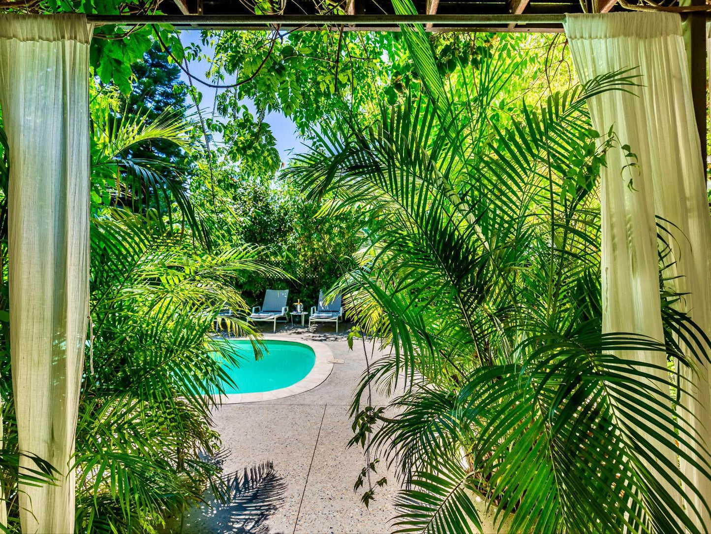 The Cape Standard Green Point Cape Town Western Cape South Africa Palm Tree, Plant, Nature, Wood, Garden, Swimming Pool