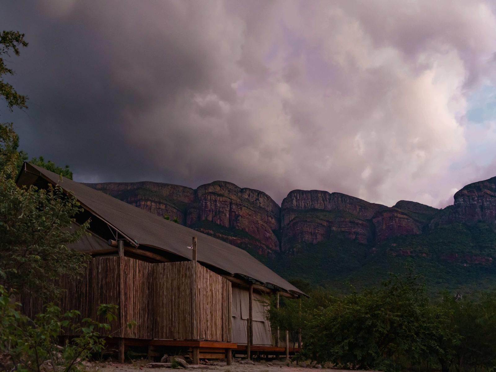 Cape Vulture Lodge Hoedspruit Limpopo Province South Africa 