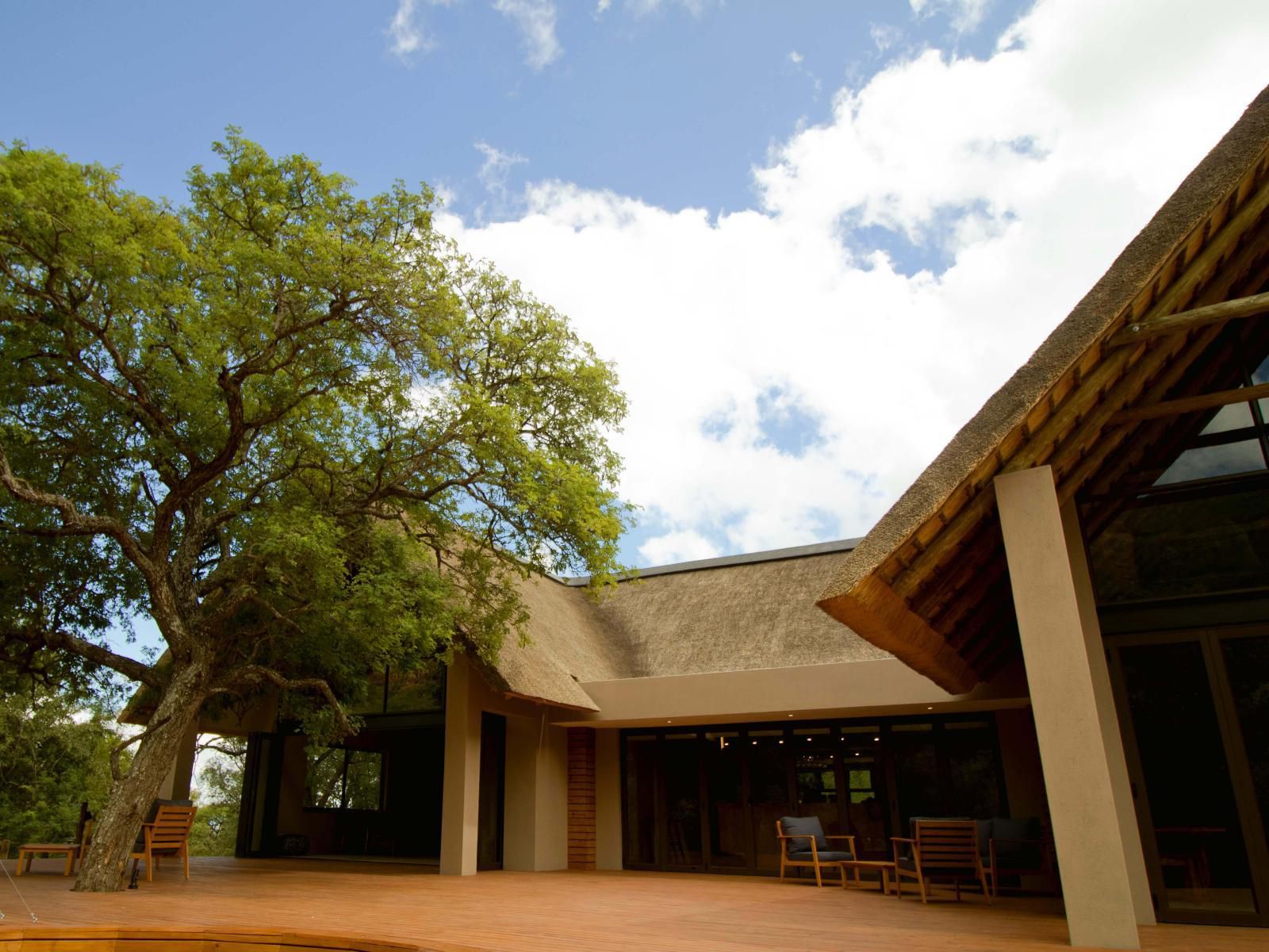 Cape Vulture Lodge Hoedspruit Limpopo Province South Africa 