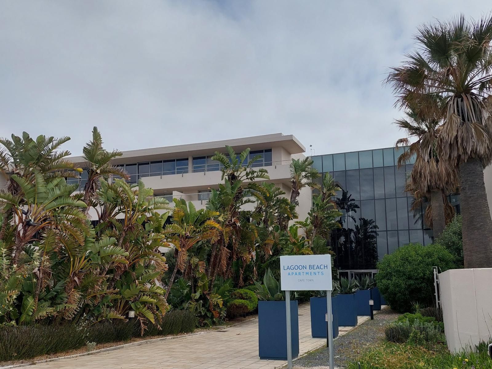 Cape Beach Penthouse Milnerton Cape Town Western Cape South Africa Palm Tree, Plant, Nature, Wood