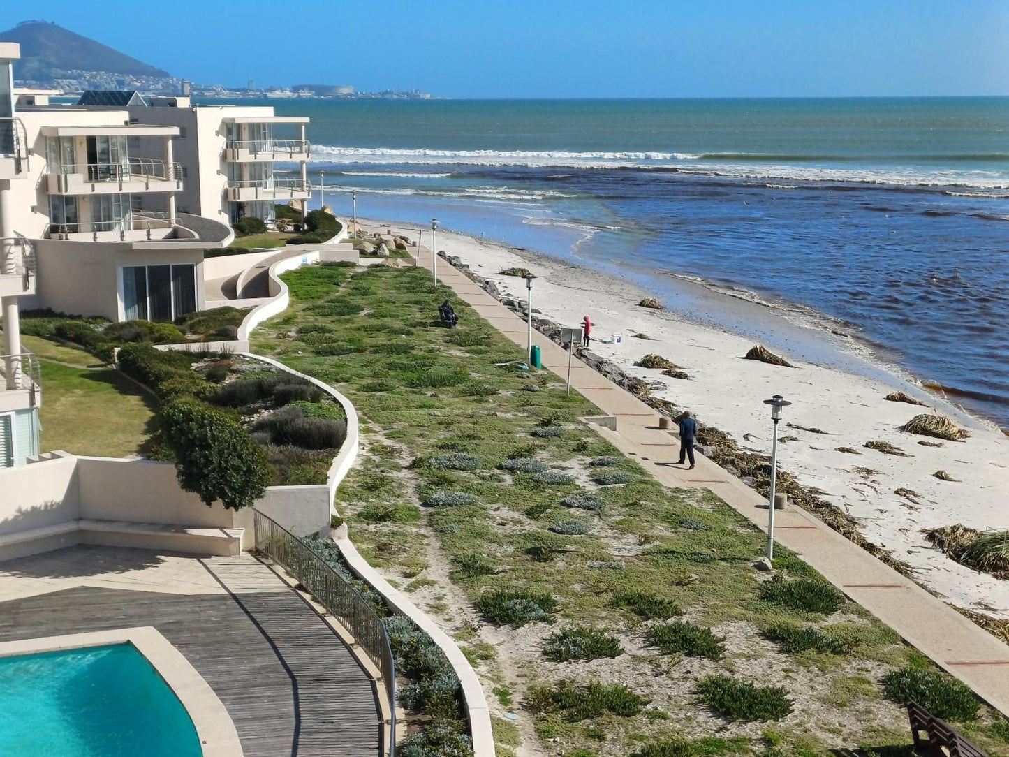 Cape Beach Penthouse Milnerton Cape Town Western Cape South Africa Beach, Nature, Sand, Palm Tree, Plant, Wood