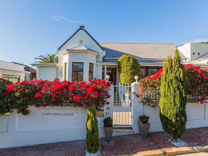 Cape Diem Lodge Boutique Hotel Green Point Cape Town Western Cape South Africa House, Building, Architecture