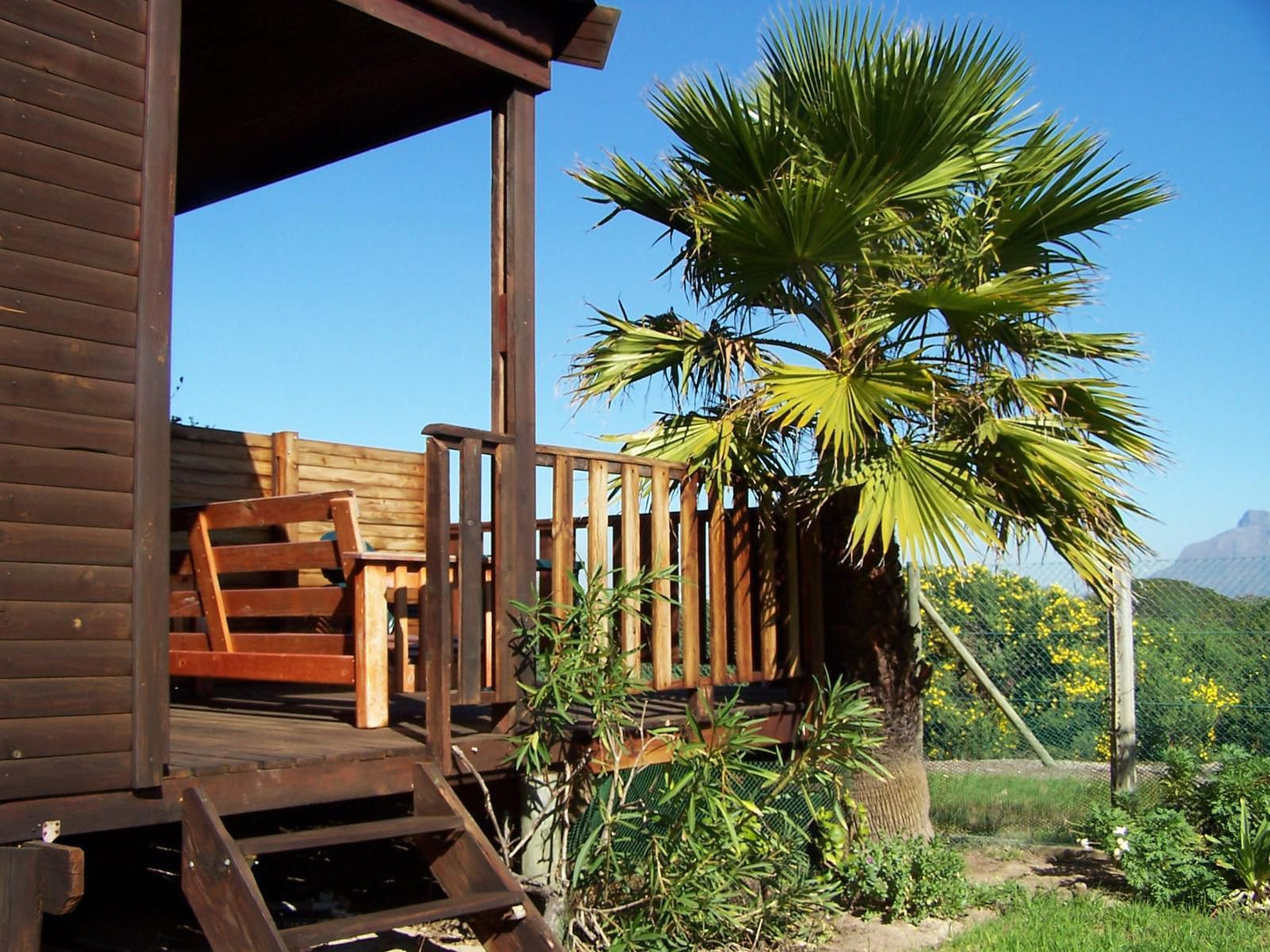 Cape Oasis Guest House Table View Blouberg Western Cape South Africa Complementary Colors, Palm Tree, Plant, Nature, Wood