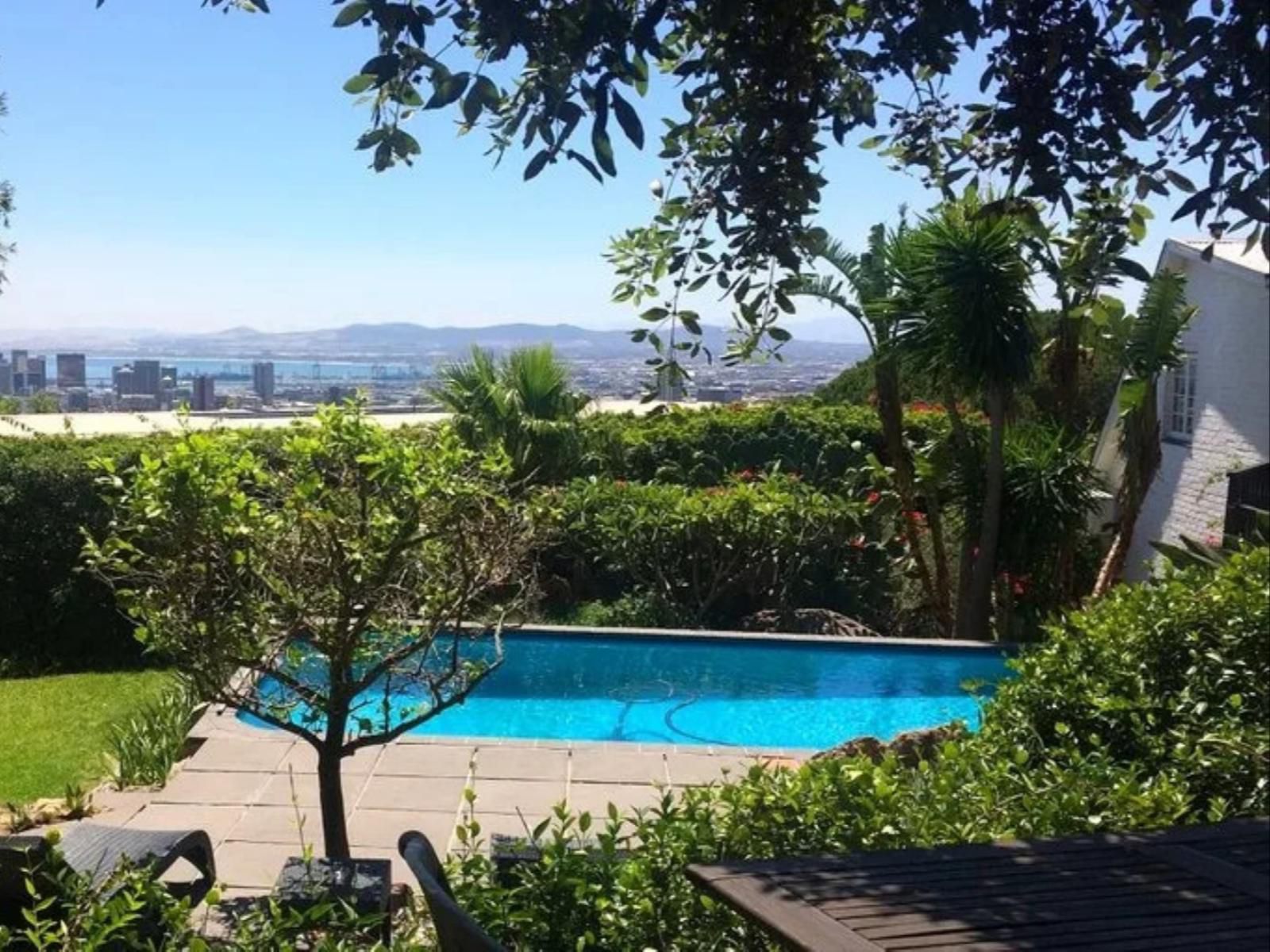 Cape Paradise Lodge And Apartments Higgovale Cape Town Western Cape South Africa Complementary Colors, Palm Tree, Plant, Nature, Wood, Garden, Swimming Pool