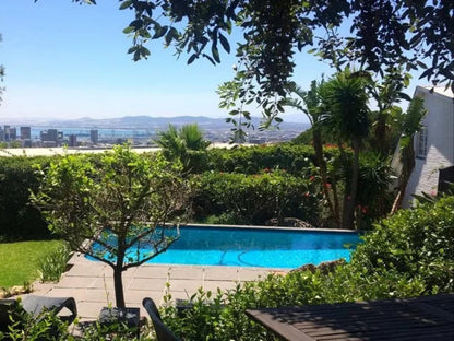 Cape Paradise Lodge And Apartments Higgovale Cape Town Western Cape South Africa Complementary Colors, Palm Tree, Plant, Nature, Wood, Garden, Swimming Pool