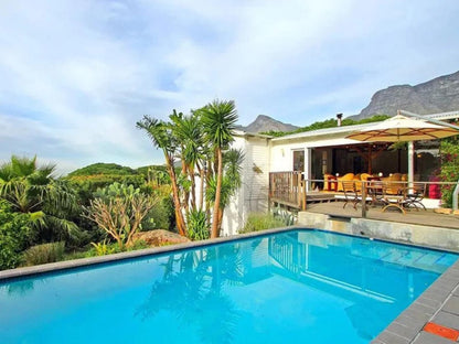 Cape Paradise Lodge And Apartments Higgovale Cape Town Western Cape South Africa Complementary Colors, Palm Tree, Plant, Nature, Wood, Swimming Pool