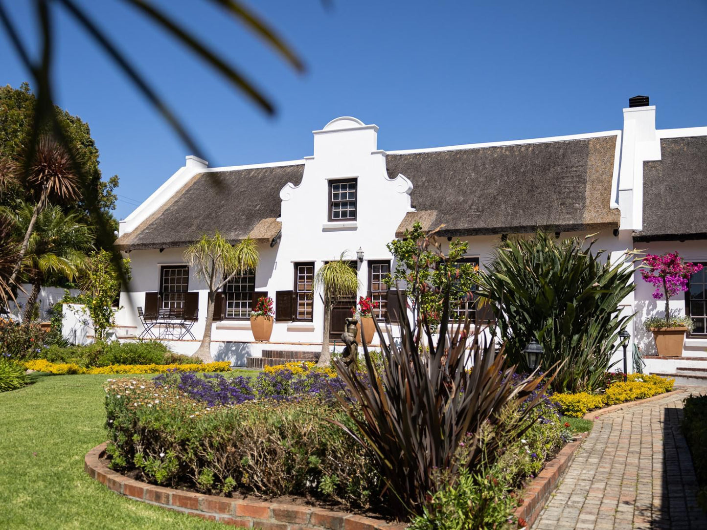 Cape Village Lodge Durbanville Cape Town Western Cape South Africa Complementary Colors, House, Building, Architecture, Palm Tree, Plant, Nature, Wood