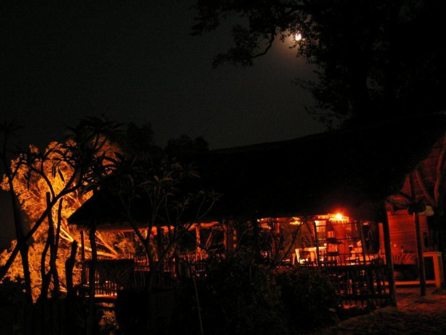 Caprivi Houseboat Safari Lodge, Dark, Moon, Nature