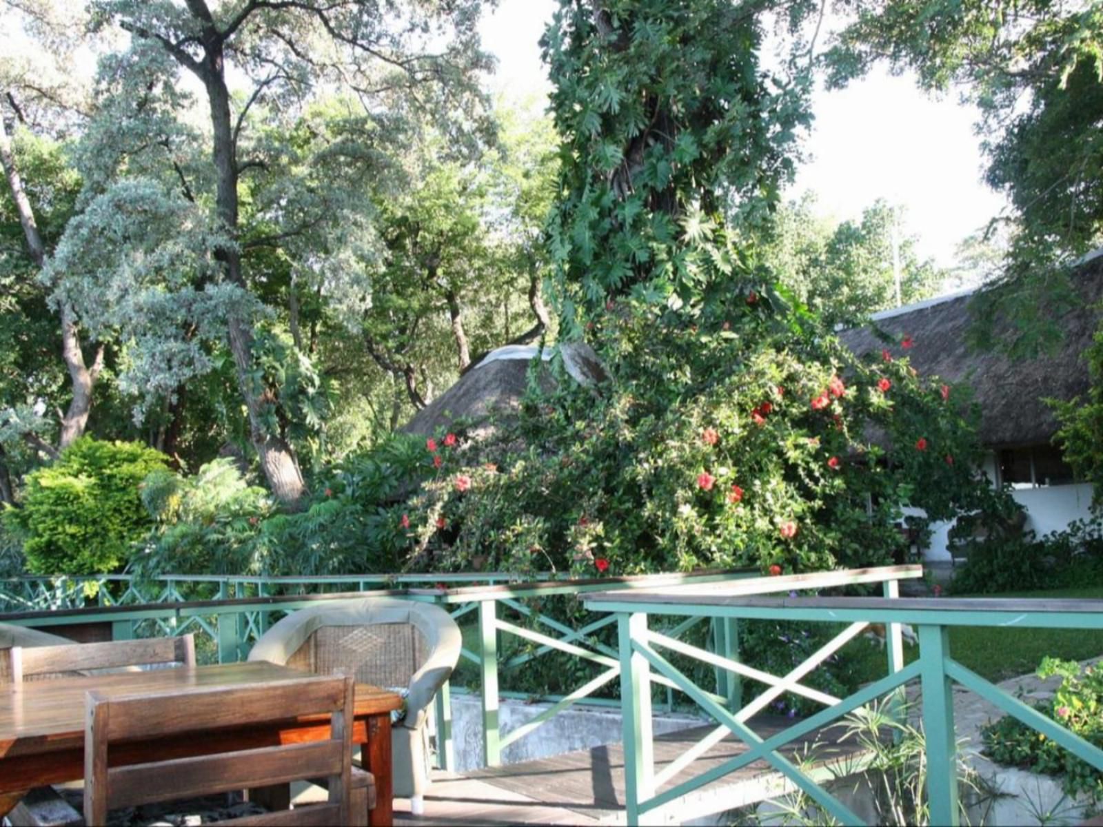 Caprivi River Lodge, Plant, Nature, Tree, Wood, Garden