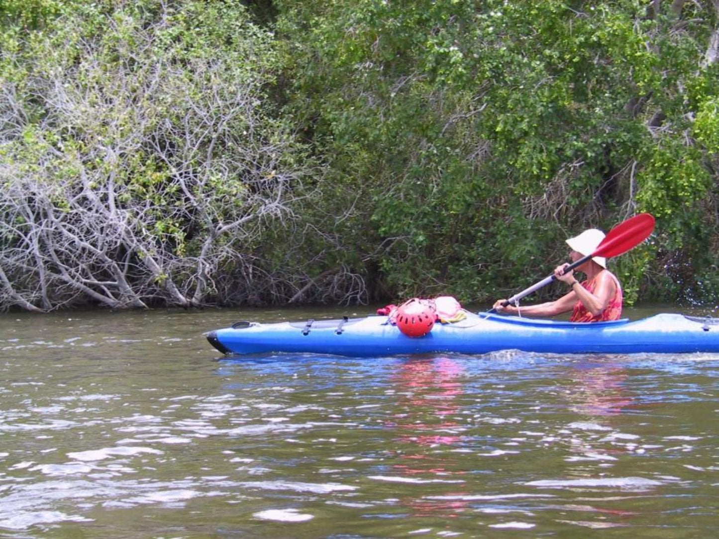 Caprivi River Lodge, Boat, Vehicle, Canoe, River, Nature, Waters, Person