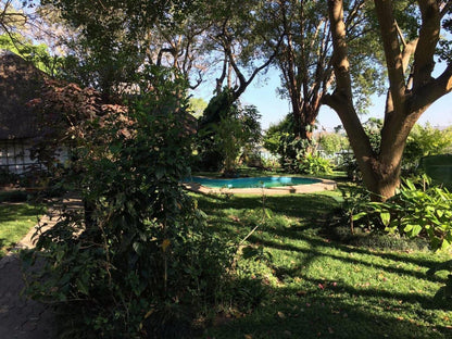 Caprivi River Lodge, Plant, Nature, Tree, Wood, Garden, Swimming Pool