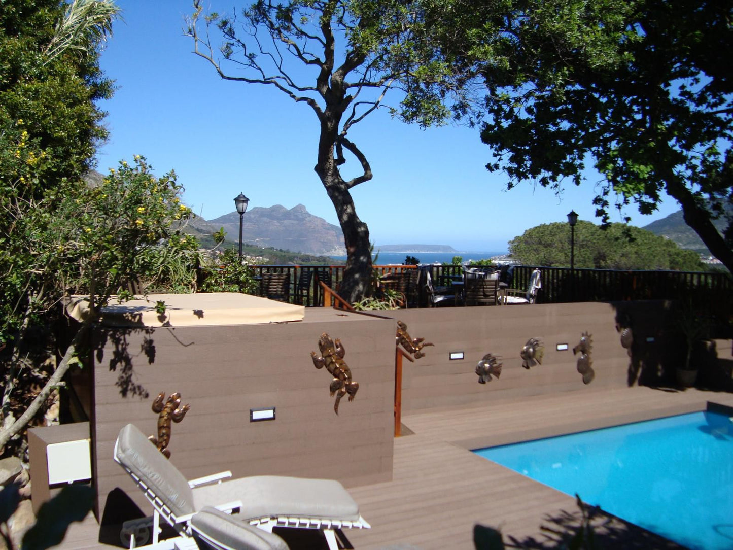 Cap Serein Guest House Hout Bay Cape Town Western Cape South Africa Palm Tree, Plant, Nature, Wood, Swimming Pool