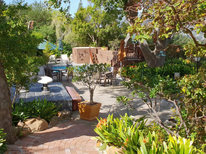 Cap Serein Guest House Hout Bay Cape Town Western Cape South Africa Palm Tree, Plant, Nature, Wood, Garden, Swimming Pool