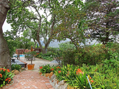 Cap Serein Guest House Hout Bay Cape Town Western Cape South Africa Plant, Nature, Garden