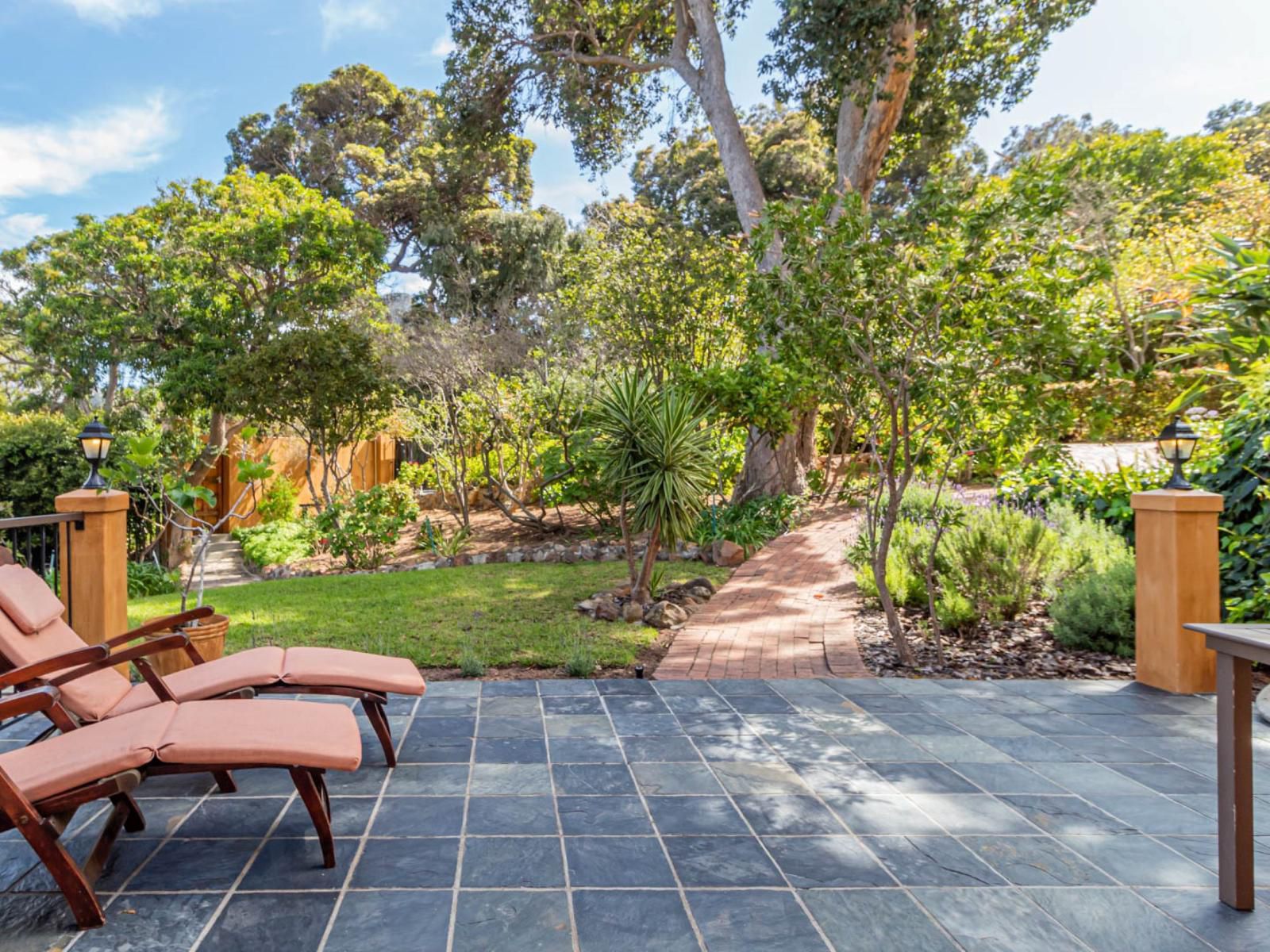 Cap Serein Guest House Hout Bay Cape Town Western Cape South Africa Palm Tree, Plant, Nature, Wood, Garden