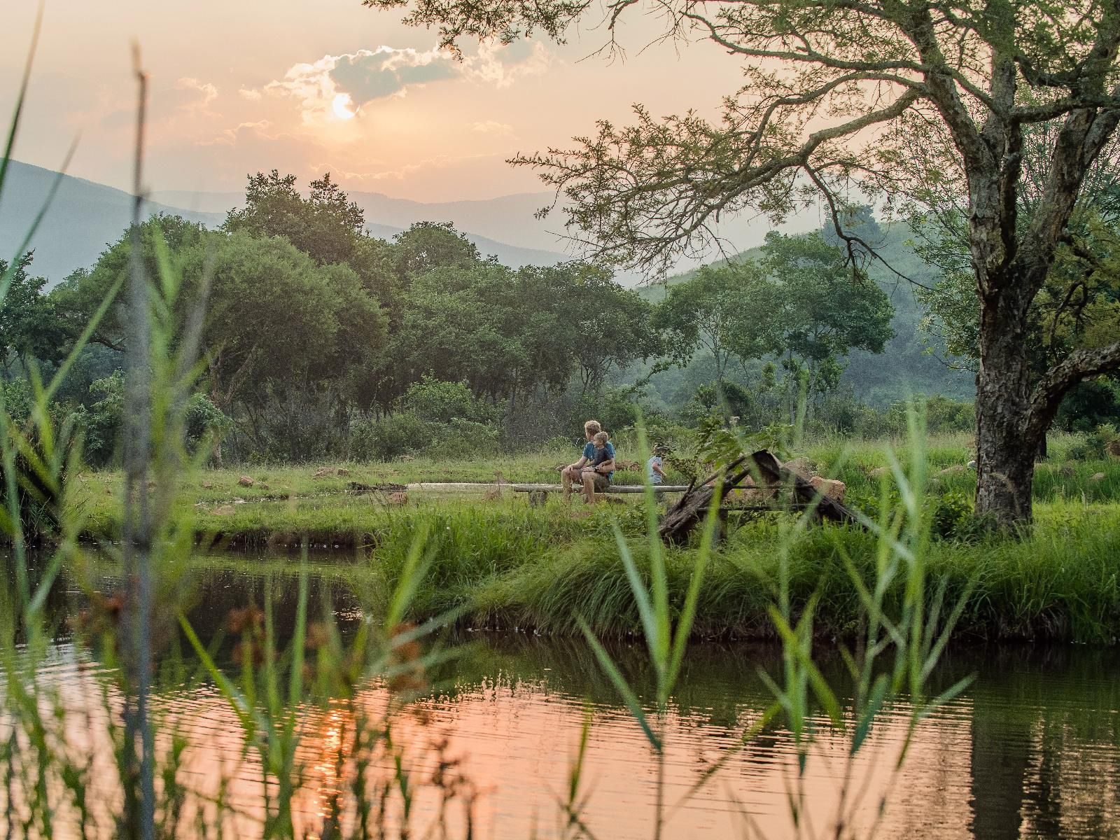 Caracal Lodge Ngodwana Mpumalanga South Africa River, Nature, Waters