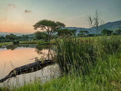 Caracal Lodge Ngodwana Mpumalanga South Africa River, Nature, Waters, Sunset, Sky
