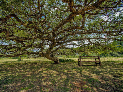 Farm House @ Caracal Lodge