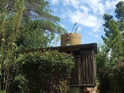 Caritas Werfbederf Hobhouse Free State South Africa Complementary Colors, Palm Tree, Plant, Nature, Wood