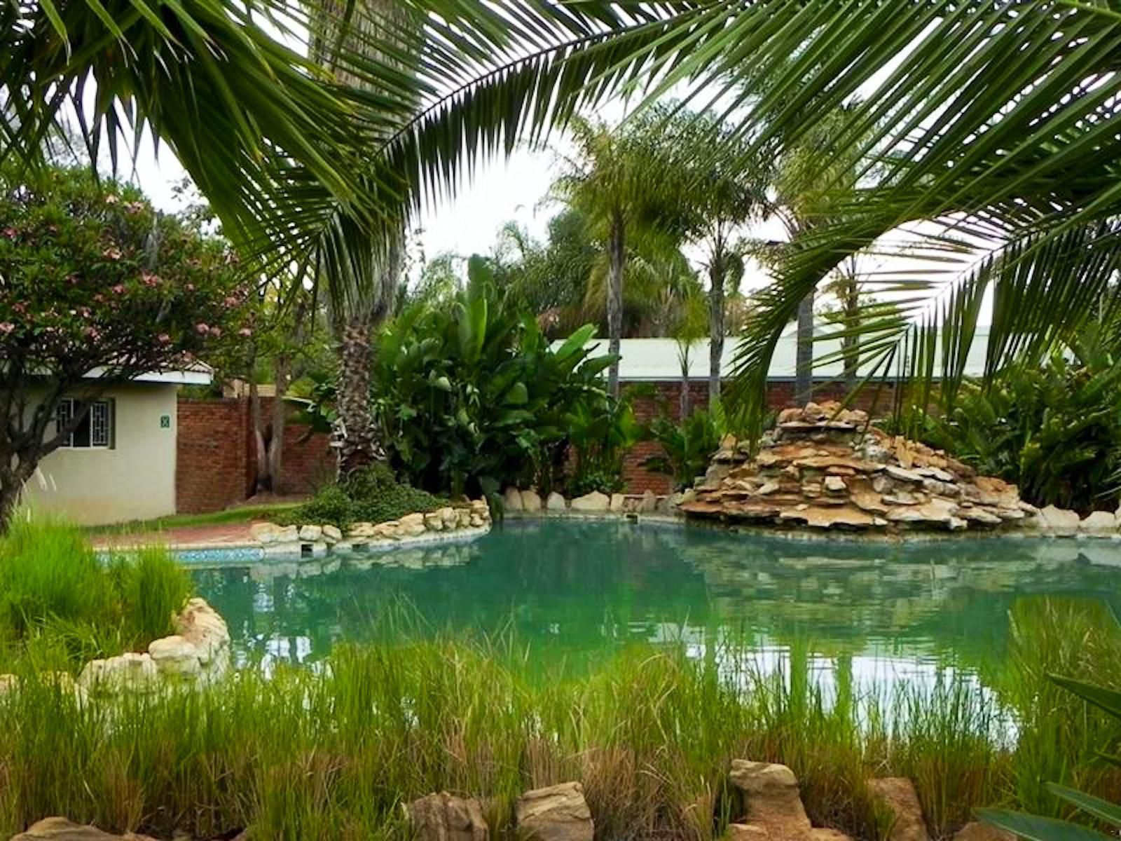 Carlana Holiday Accommodation Bela Bela Warmbaths Limpopo Province South Africa Palm Tree, Plant, Nature, Wood, Garden, Swimming Pool