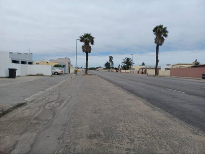 Carlo'S Boutique Guesthouse, Palm Tree, Plant, Nature, Wood, Desert, Sand, Street