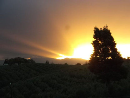 Carmel Cottages Elgin Western Cape South Africa Sky, Nature, Sunset