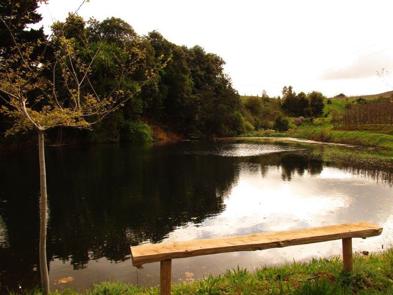 Carmel Cottages Elgin Western Cape South Africa River, Nature, Waters, Tree, Plant, Wood