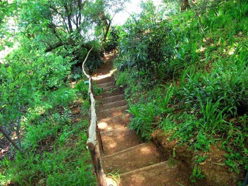 Carmel Cottages Elgin Western Cape South Africa Forest, Nature, Plant, Tree, Wood, Stairs, Architecture