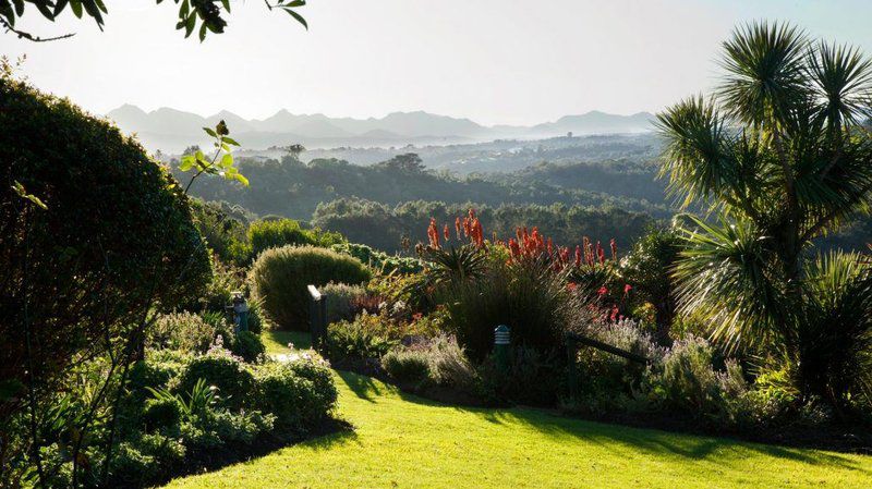 Carmel Guest Farm Victoria Heights Victoria Bay Western Cape South Africa Plant, Nature, Garden