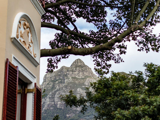 Carmichael House Boutique Hotel Rosebank Ct Cape Town Western Cape South Africa Mountain, Nature