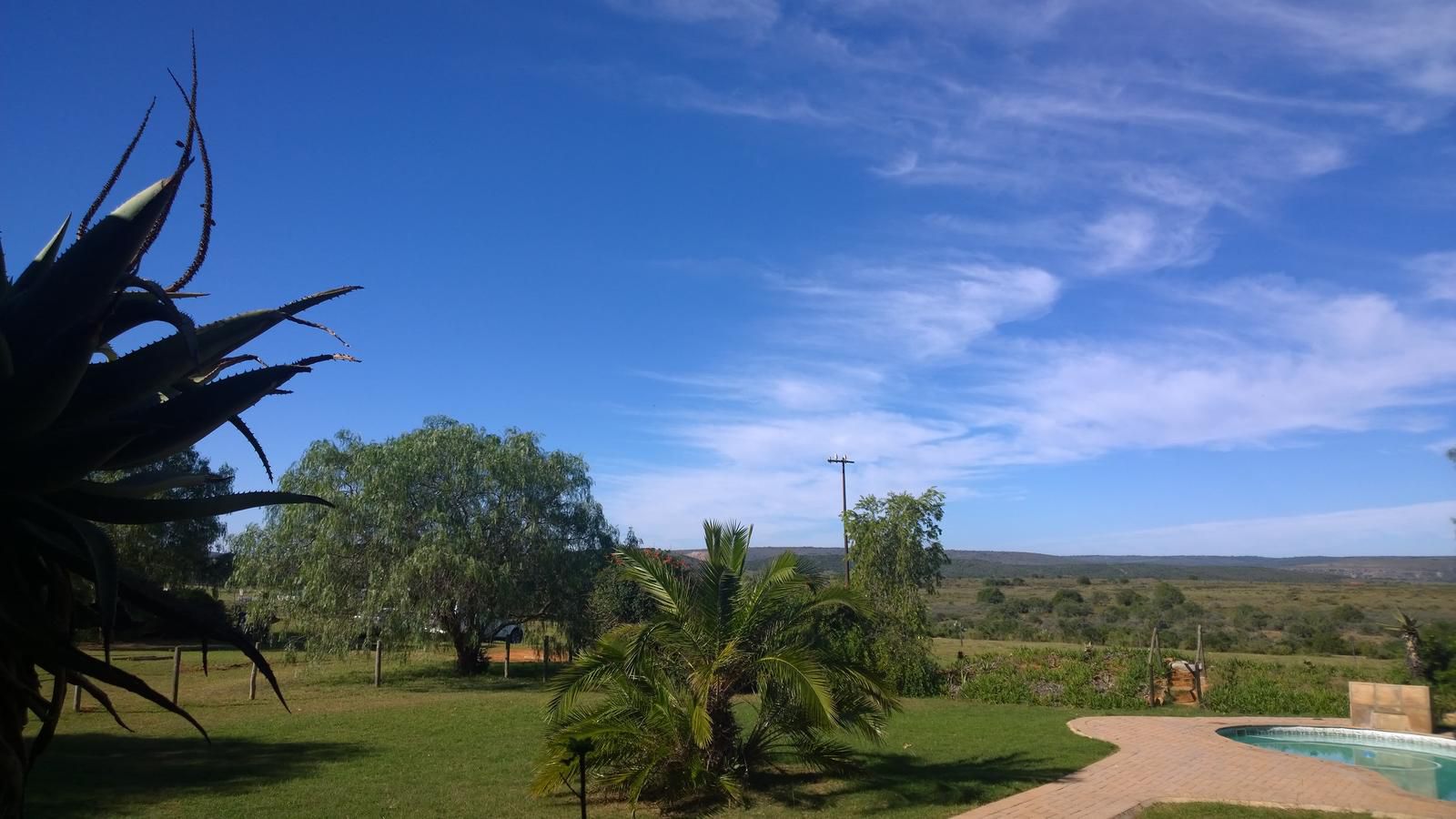 Amakhala Carnarvon Dale Amakhala Game Reserve Eastern Cape South Africa Complementary Colors, Palm Tree, Plant, Nature, Wood