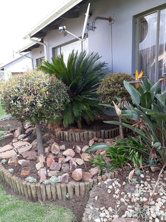 Carnival View Guest House Boksburg Johannesburg Gauteng South Africa House, Building, Architecture, Palm Tree, Plant, Nature, Wood, Garden