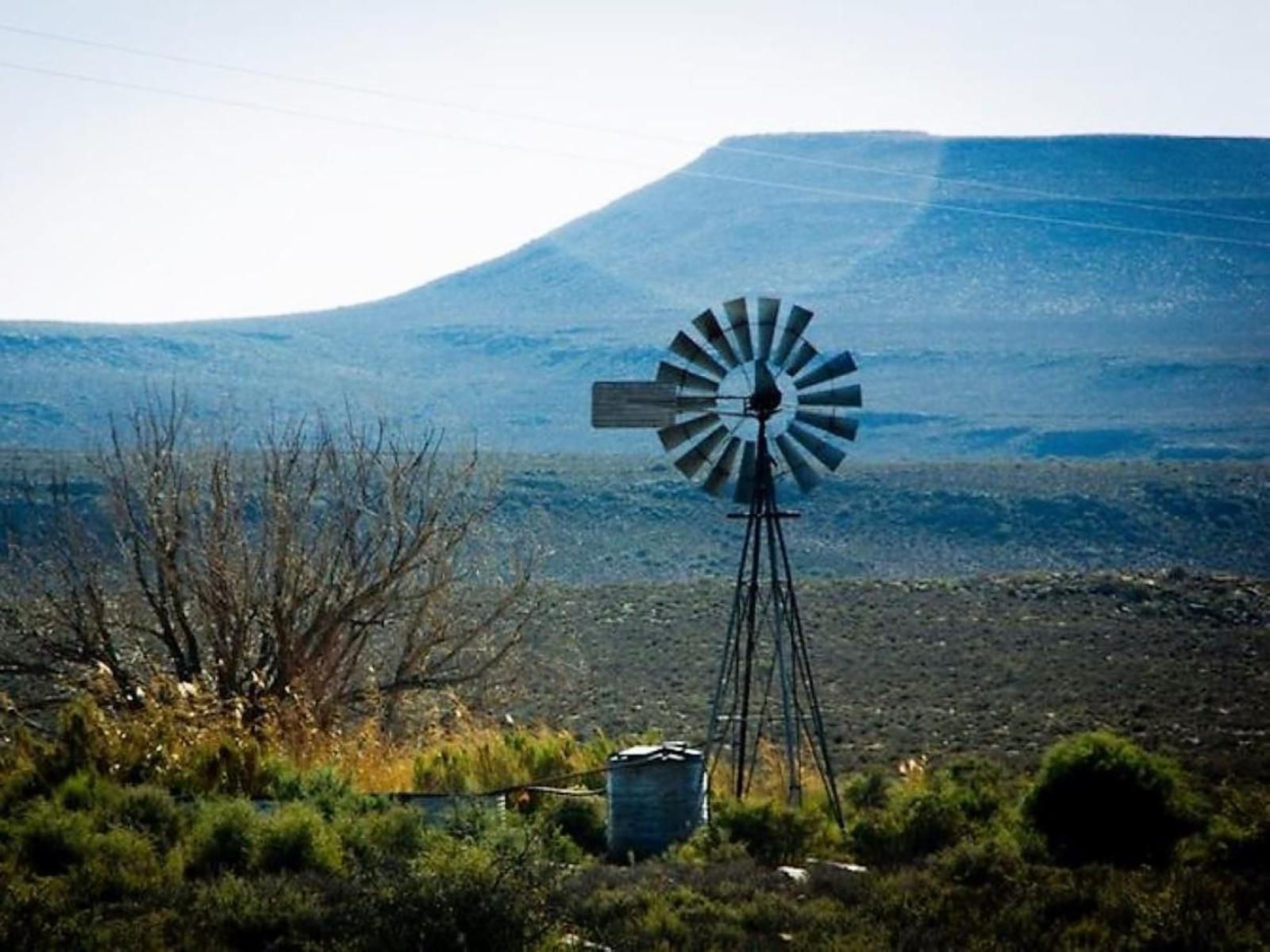 Caro S Karoo Accommodation Victoria West Northern Cape South Africa Cactus, Plant, Nature