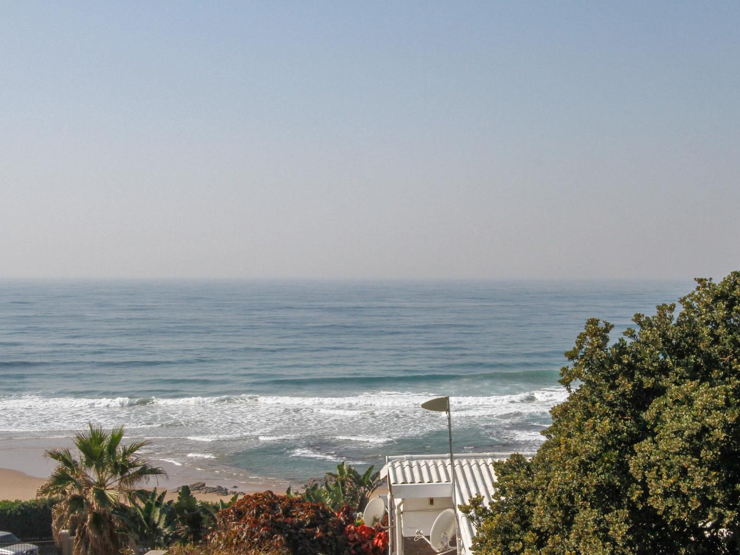 Carpe Diem Umdloti Beach Durban Kwazulu Natal South Africa Beach, Nature, Sand, Palm Tree, Plant, Wood, Ocean, Waters