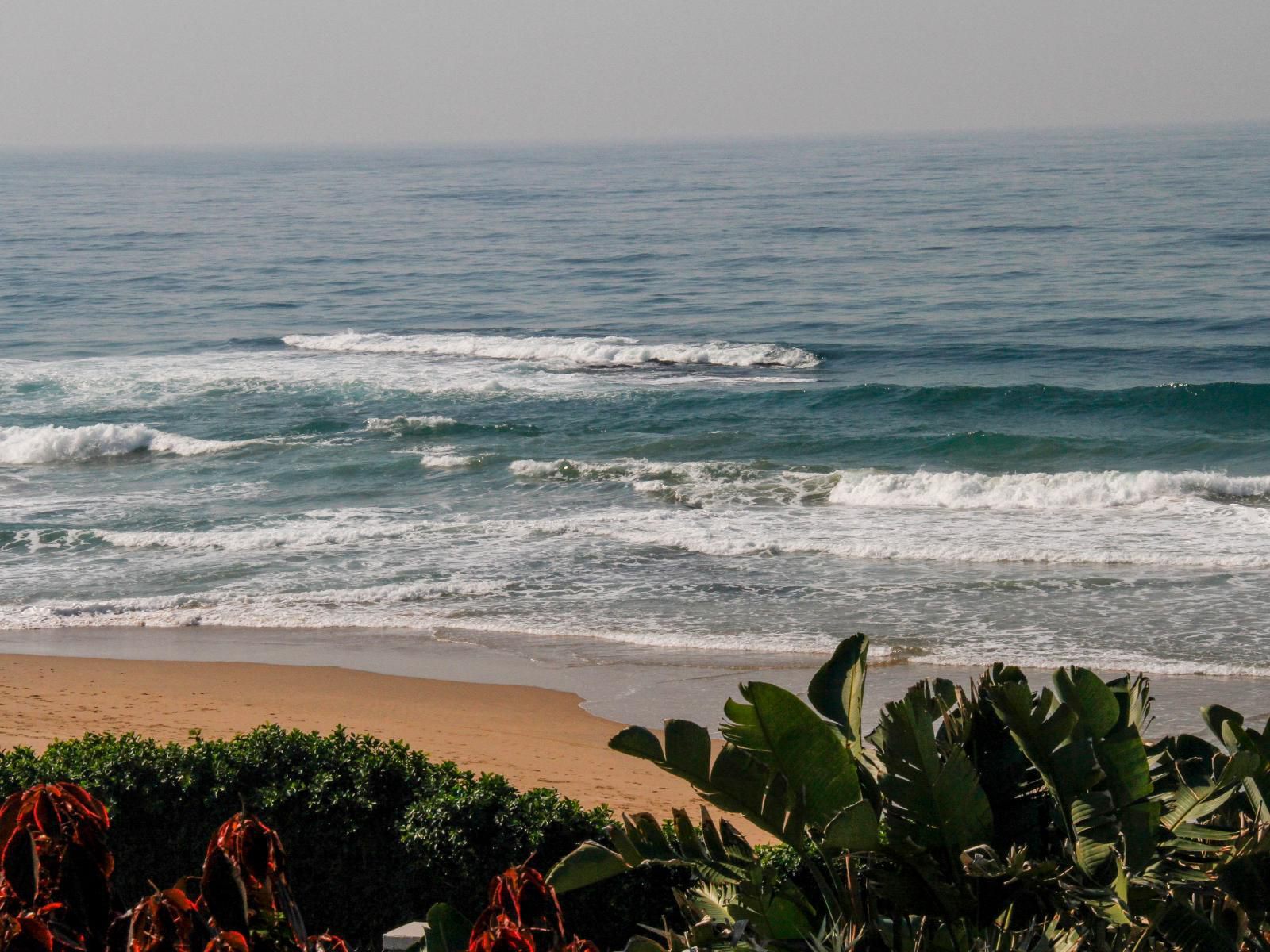 Carpe Diem Umdloti Beach Durban Kwazulu Natal South Africa Beach, Nature, Sand, Wave, Waters, Ocean