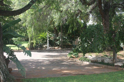 Carters Rest Guesthouse Rhodesdene Kimberley Northern Cape South Africa Palm Tree, Plant, Nature, Wood, Garden