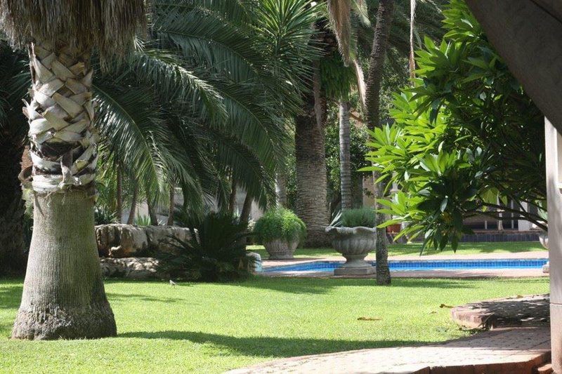 Carters Rest Guesthouse Rhodesdene Kimberley Northern Cape South Africa Palm Tree, Plant, Nature, Wood
