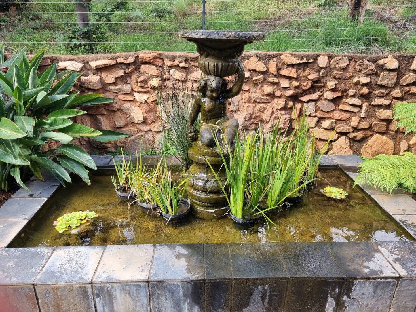 Casa Albergo Guest House Florauna Pretoria Tshwane Gauteng South Africa Fountain, Architecture, Waterfall, Nature, Waters, Garden, Plant