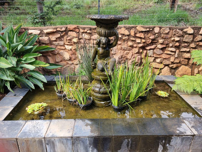 Casa Albergo Guest House Florauna Pretoria Tshwane Gauteng South Africa Fountain, Architecture, Waterfall, Nature, Waters, Garden, Plant