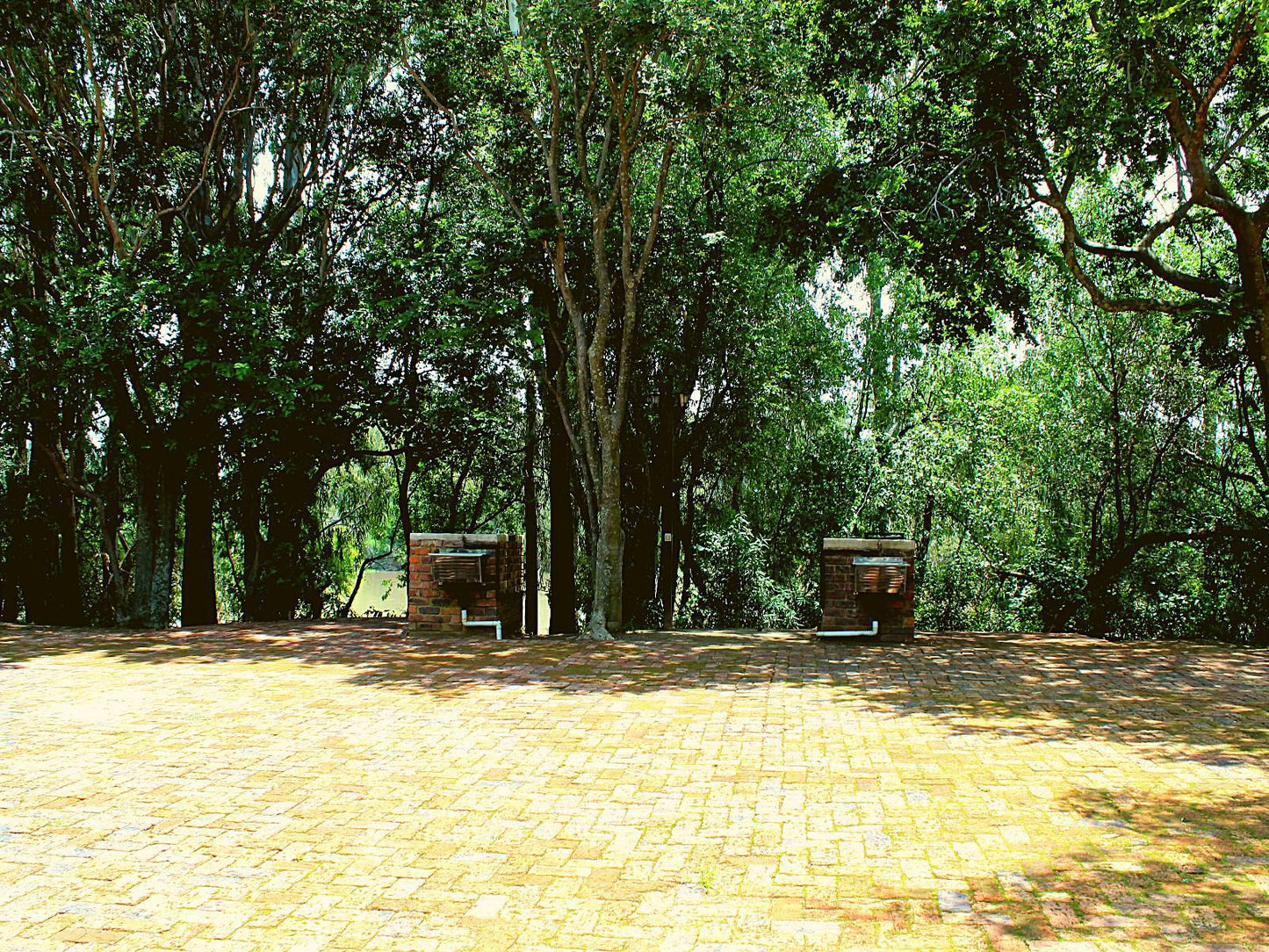 Casa Cara Resort Vaal Eden Free State South Africa Plant, Nature, Tree, Wood